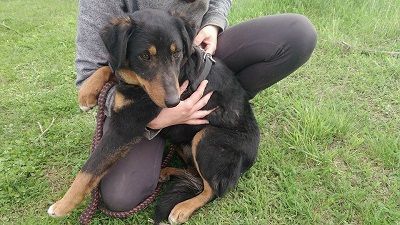 MAILA - 46 cm - SUCHT LEUTE MIT HERZ! (aus dem