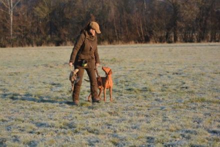 Meine Welt der Jagdhunde