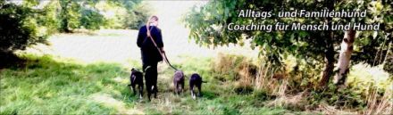 Alltags- und Familienhund