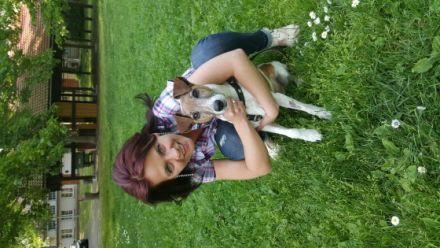 Canilove - Mobiles Hundetraining-