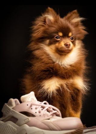 El Dorado Trollgardens