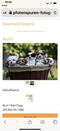 From the little Heroes