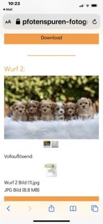 From the little Heroes