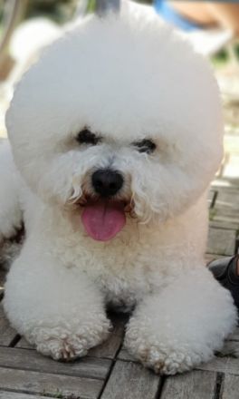 Eranis Evan ( Rufname Charlie)