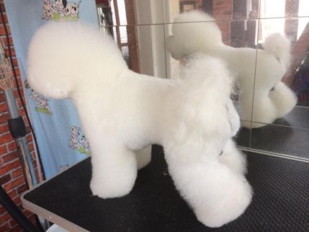 Eranis Evan ( Rufname Charlie)