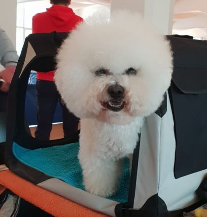 Eranis Evan ( Rufname Charlie)