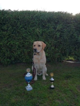 T-Conrat Cușnir House