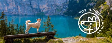 TOP-HUNDEURLAUB