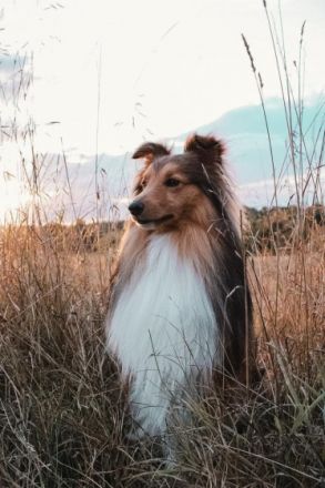 Sammy of Charly Blaze