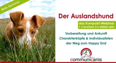 Der Vorbesuch im Tierschutz 18.04.25