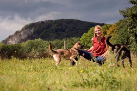 Kiwi-die-Hundeschule