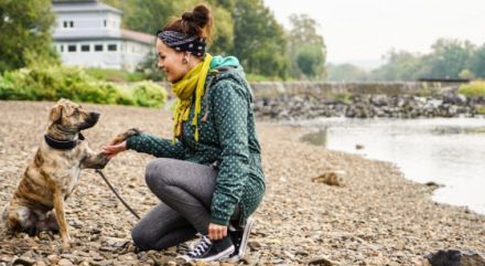 Sechs Beine eine Leine