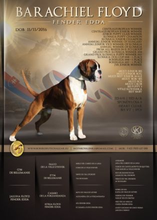 BARACHIEL FLOYD Fender Edda