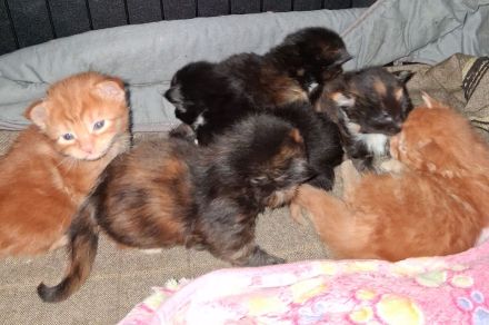 von Nambur und Ley Lines