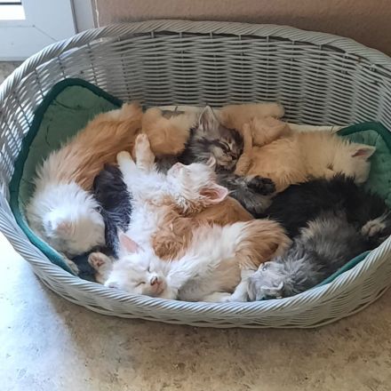 von Nambur und Ley Lines