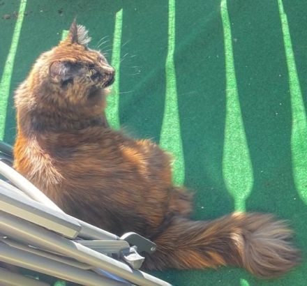 von Nambur und Ley Lines