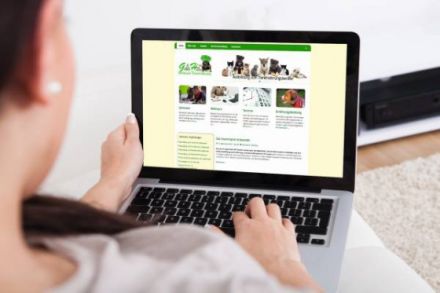 Kostenloser Infoabend zur Ausbildung Hunde- und Katzenernährungsberater*in