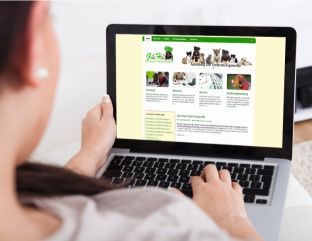 Ausbildung Hunde- und Katzenernährungsberater*in