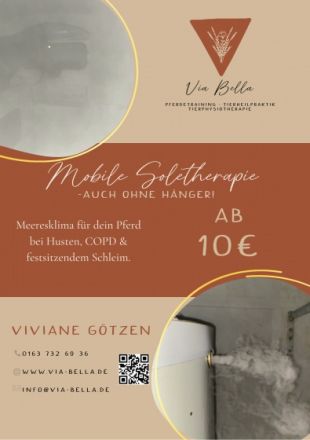 Via Bella | Pferdetraining • Tierheilpraxis • Tierphysiotherapie