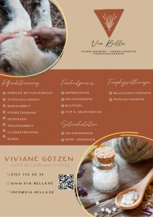 Via Bella | Pferdetraining • Tierheilpraxis • Tierphysiotherapie