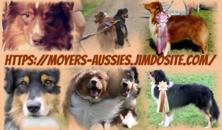 Trulyawesome Peek A Boo