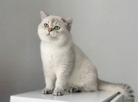 Kay von Ravensberger Land