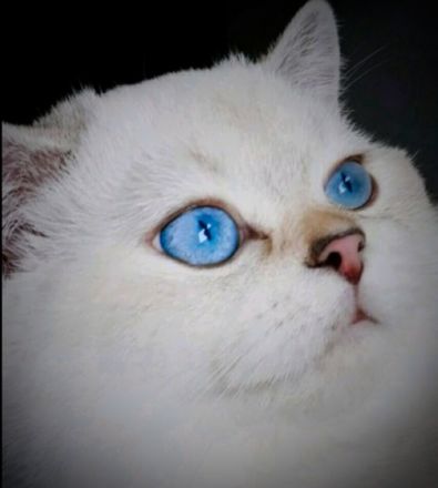 Kay von Ravensberger Land