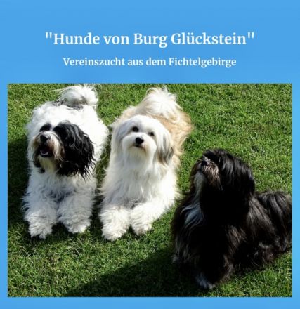 von Burg Glückstein