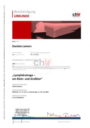 Schnauze, Fell und Pfoten