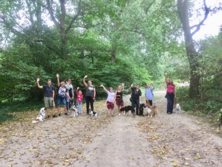 ArtHundWeise Hundeschule