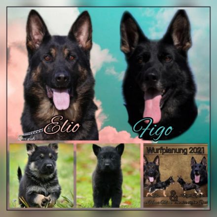 Von der Aabrücke 'INT'