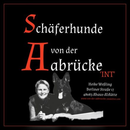 Von der Aabrücke 'INT'