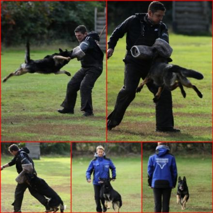 Von der Aabrücke 'INT'