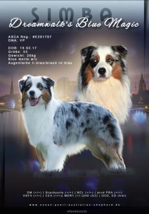 Dreamwalk`s blue magic