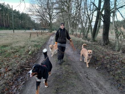 Hundehotel Parkwärter