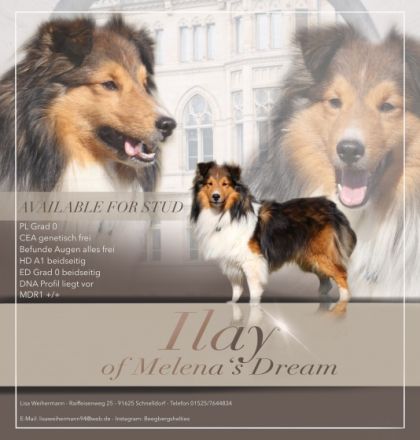 Ilay of Melena´s Dream