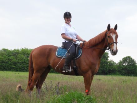 Ines Redlich mobile Tierheilpraktikerin