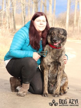 Apollo, Name: APOLLO Aufenthaltsort: Tierheim Slowakei