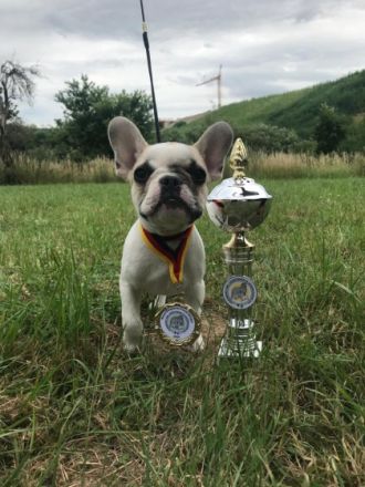 Bullys vom Schloss Buhstein