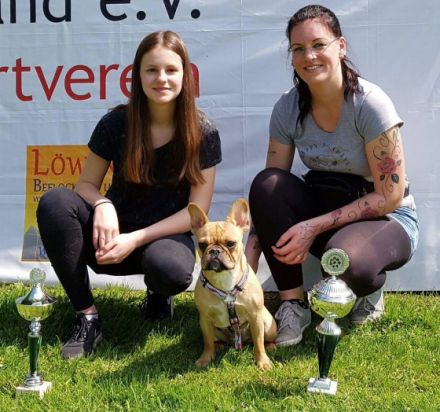 Bullys vom Schloss Buhstein