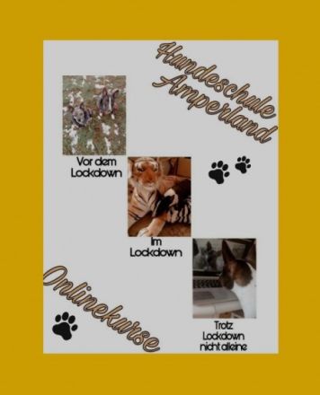 Hundeschule Amperland