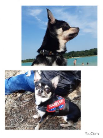 Carlo von den Veenhuserzwergen