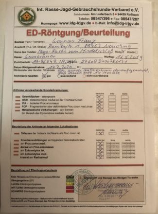 Mago-Rasko von Mindelschloss