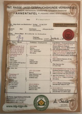 Mago-Rasko von Mindelschloss