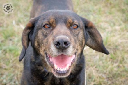 Battyo-liebenswerter älterer Herr, der die Gesellschaft liebt