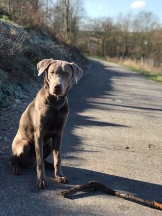 Dante vom Dom des Wiesbachtales
