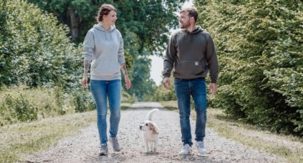 Die Hundemarke - Hundeschule im Herzogtum