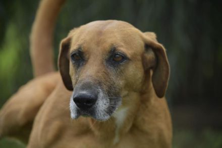 Rella sucht eine sportliche Familie