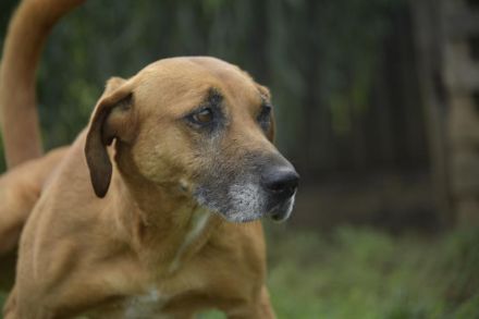 Rella sucht eine sportliche Familie