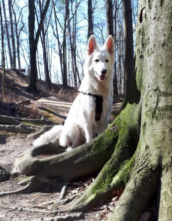 Vom Rammenauer Schloßblick